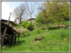 foto Passeggiata Rocca - Zanetti - Corlo